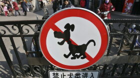 A sign reading "No Entry For Dogs" is posted near the Confucius Temple in a file photo from Nanjing, China. The city sought to remove stray dogs in 2007, prompted by fears of rabies.