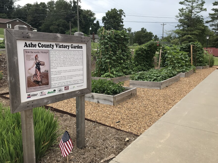 The Ashe County Victory Garden in full bloom, late July 