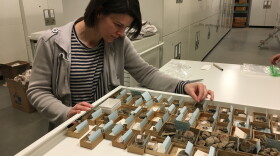 Within the larger shipped boxes are lots of smaller boxes containing fossils, some microscopic. Dr. Brenda Hunda says what will take a long time is doing research on each specimen. She is an expert on trilobites, but on other invertebrates may need some assistance.  