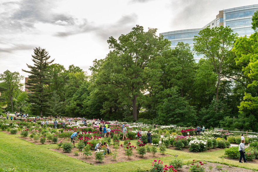 Matthaei Botanical Gardens; Joe Mooney
