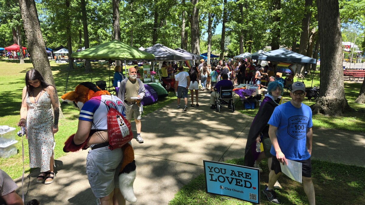 Community members, organizations gather in South Bend for Pride in the Park