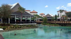 If you dined at Disney Springs near Orlando this month, you might have been exposed to Hepatitis A.