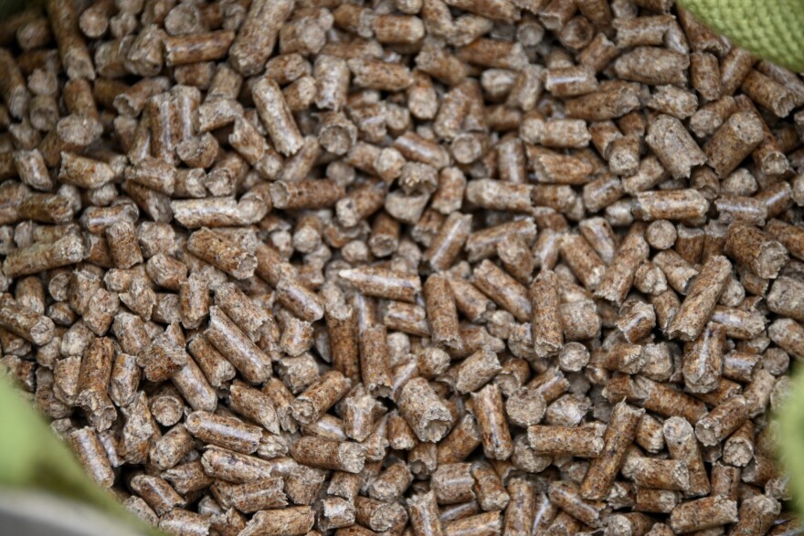  Wood pellet maker Enviva has mostly sold pellets to be burned in electricity plants, but now it's expanding to new industries, such as biofuels. 