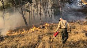 Lenya Quinn-Davidson