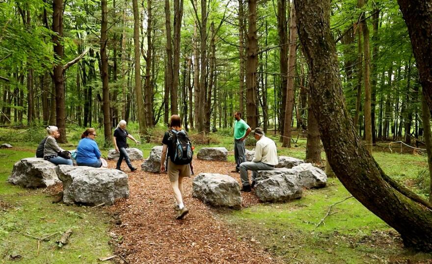 Several people sit on rocks while others walk through a brown path through the green forest.