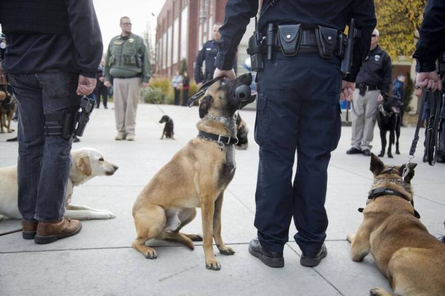 jardo_ceremony_police_dogs.jpg