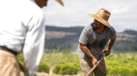 Two men work in a field