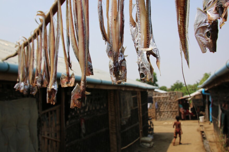 Fish dry in the sun at a Rohingya camp outside Sittwe. The camp's bamboo houses are only meant to last two or three years, and the international aid agencies that built them had no intention of creating permanent settlements.