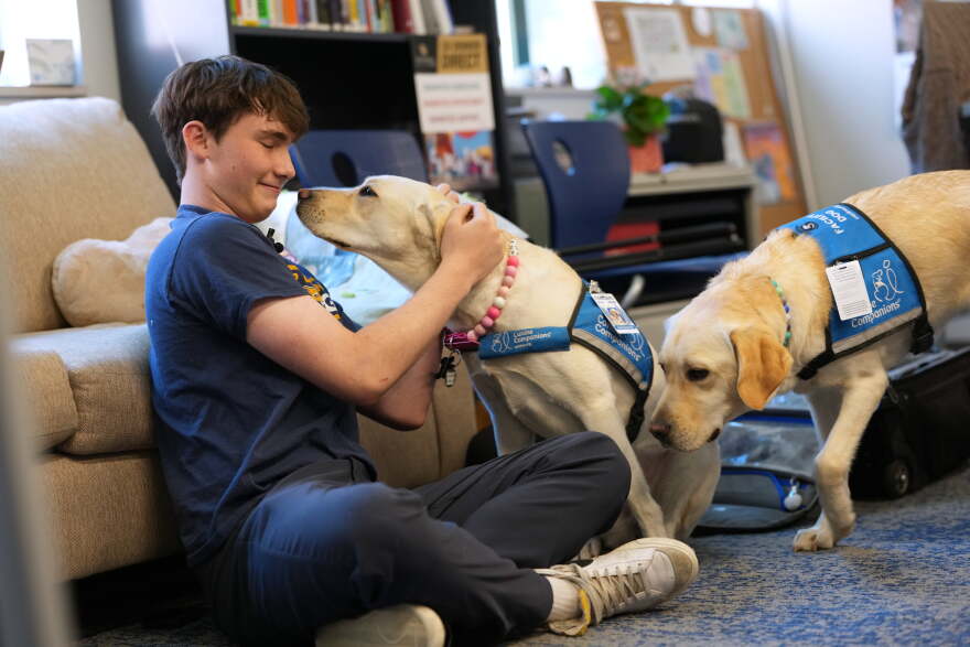 Two dogs are pet by a high schooler who is sitting on the floor.