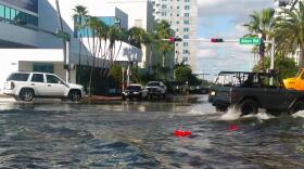 The Rockefeller Foundation has announced the end of a program that is helping the city respond to climate change. 