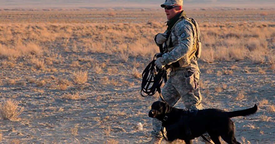 Canine-Soldiers_750-px-wide.jpg