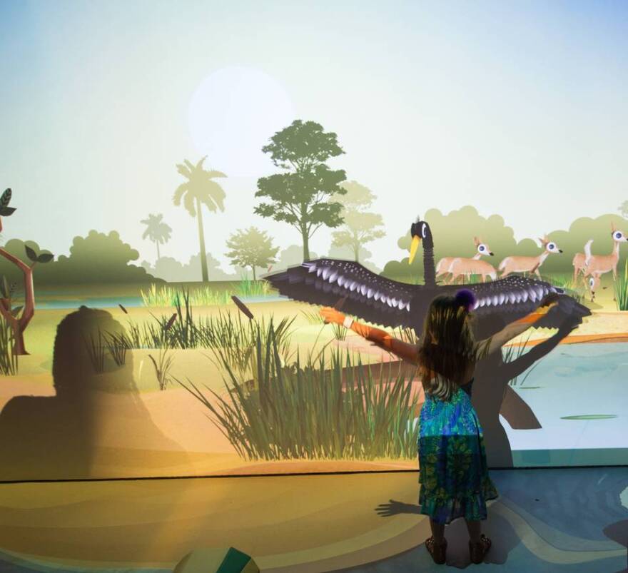 A child visits the “River of Grass” exhibition at Frost Science in downtown Miami.