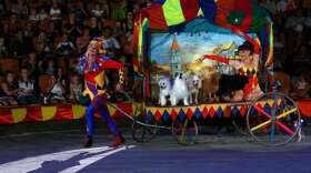 Image: The Menestrelli Dog Circus,  artegonmarketplace.com