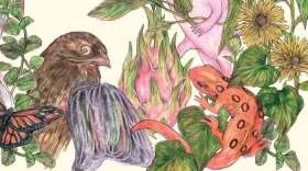 Photo: Milkweed Editions
