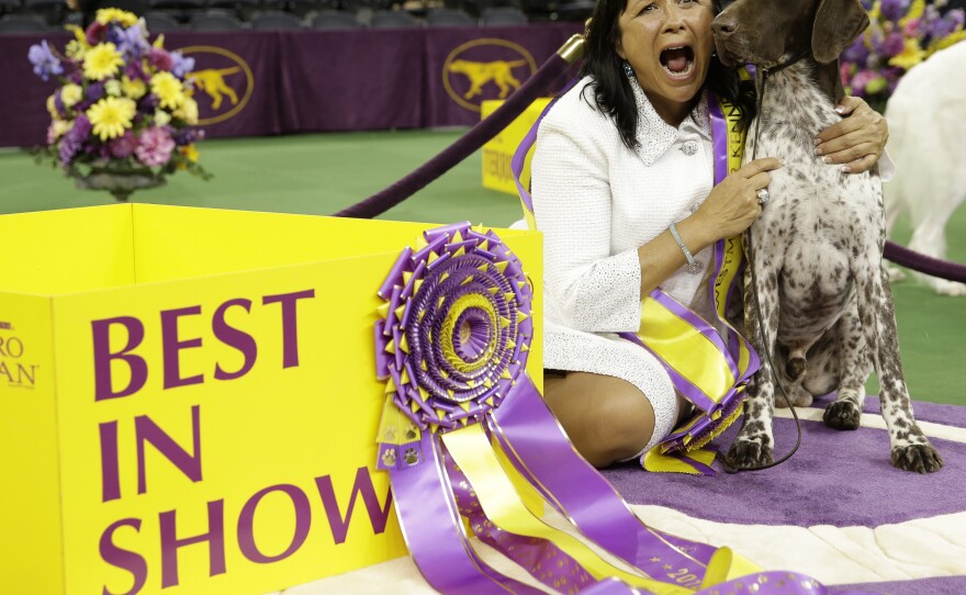 Valerie Nunes-Atkinson and CJ, a German shorthaired pointer, pose for photographers after CJ won best in show at the 140th Westminster Kennel Club Dog Show.