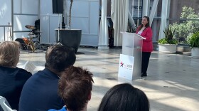 Marion County Clerk Kate Sweeney Bell speaks the voting event at the Indianapolis Artsgarden.