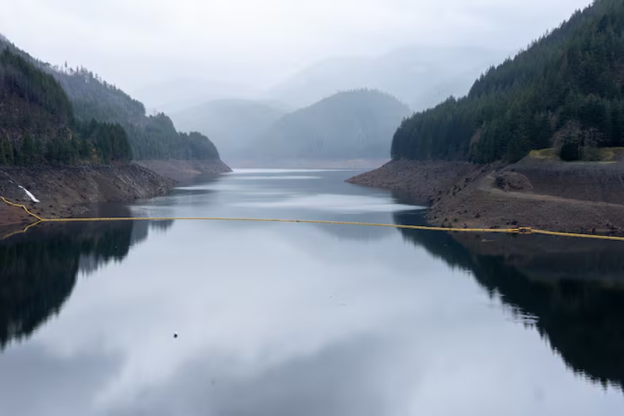 The water level is low at Detroit Lake during its typical winter drawdown, in Detroit, Ore., on Dec. 6, 2025. The U.S. Army Corps of Engineers is considering a plan to gradually lower Detroit Lake to its lowest levels ever starting in the fall of 2026, in an effort to help threatened Chinook salmon swim downstream.