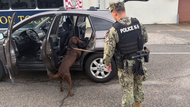 A dog inspects a vehicle at the gate of Naval Station Norfolk in mid-March.