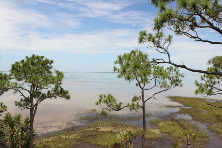 A view of the bay from the observation tower at the Buffer Preserve visitor's center.