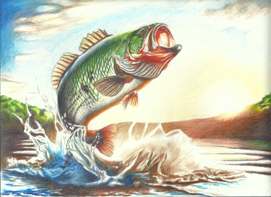 Submission by Steven Ju (Grade 7-9 Division, Georgia)