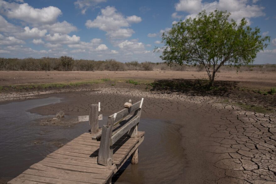 A pond on Bruce Mumme’s land is drying up, leaving his catfish to die.