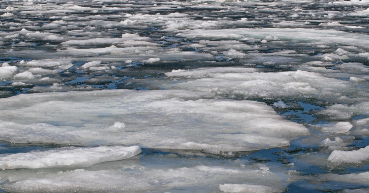 Music by Request - March 28 & 29, 2026