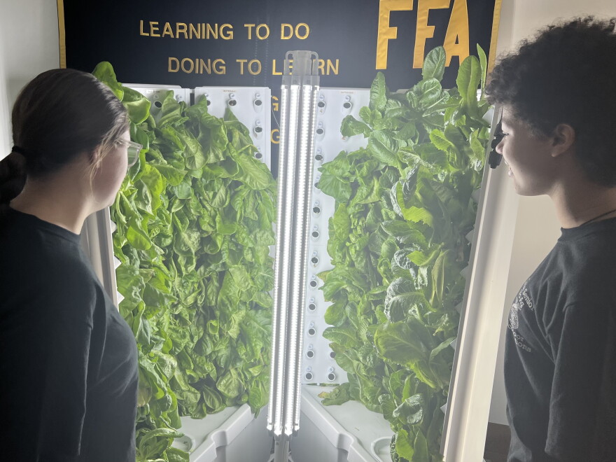 Dylan Miller and Lavender Johnson, high school students in Lima City School District, gaze at lettuce being grown on a hydroponic tower.
