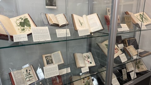 Books on display at the Lloyd Library's Botany of Beverages exhibit.