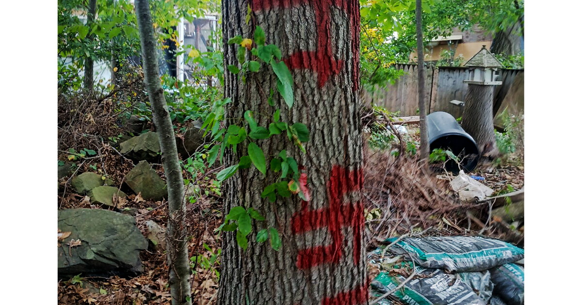 Encampment for unhoused Milford residents targeted by violence & vandalism, police identify suspects
