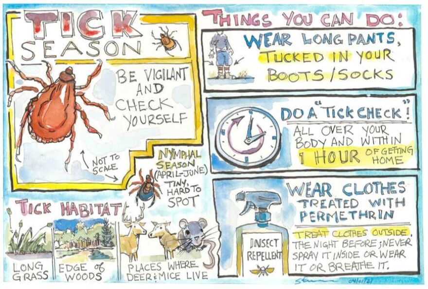 A cartoon that shows various ways to prevent against ticks.