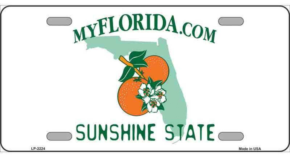 License plate redesign eyed -- Florida without .com likely - Vimarsana News