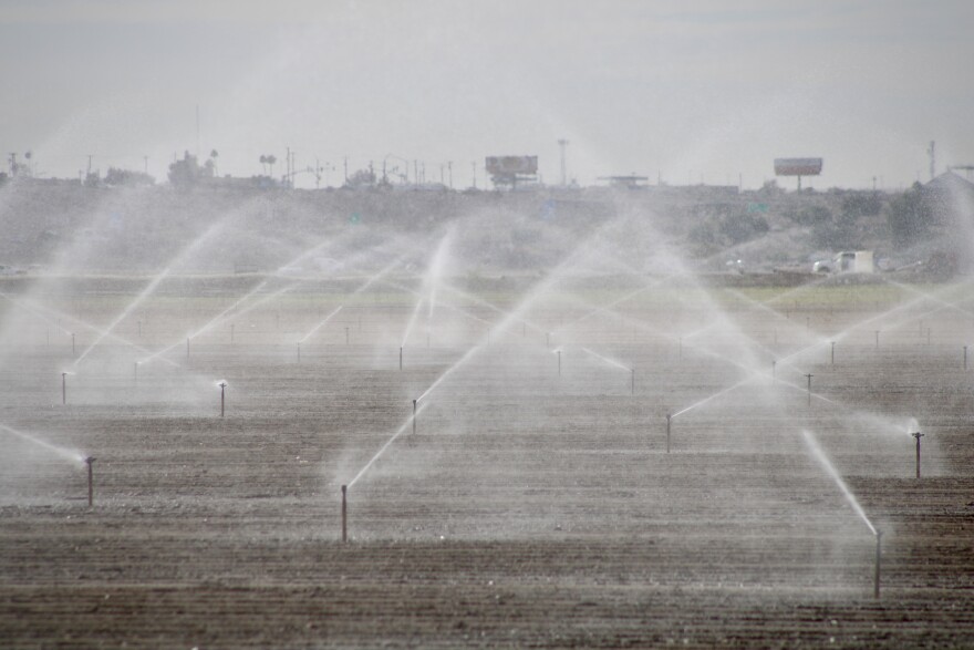 Water from the Colorado River is used to irrigate crops near Yuma, Arizona. The federal government plans to use money from the Inflation Reduction Act to pay farmers to pause growing and leave more water in reservoirs.