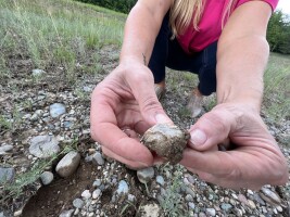 Finding Hope at Rock Bottom