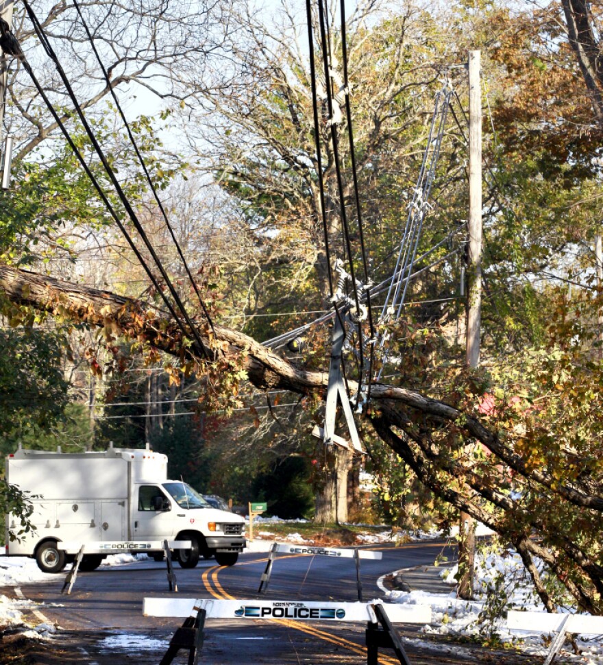 <p>Monday: Downed power lines in North Andover, Mass. </p>