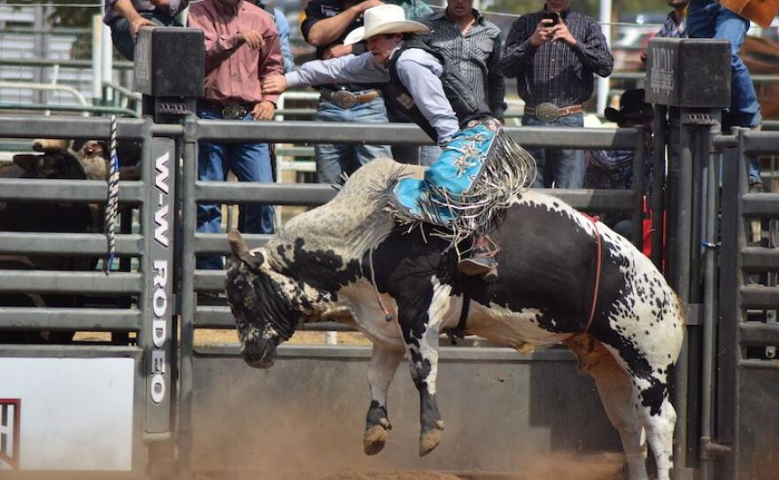 Comal County Celebrates ‘Largest’ Fair In Central Texas TPR