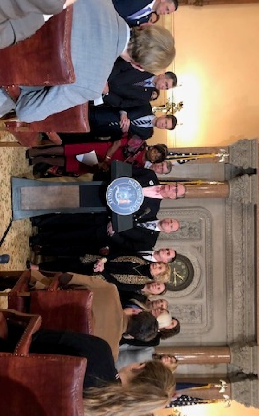 Lawmakers and advocates detail limo regulations Tuesday at the New York state Capitol.