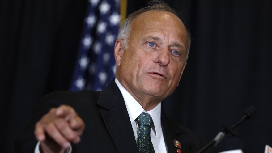 Iowa Rep. Steve King is facing a fierce primary challenge from fellow Republicans after years of incendiary comments about abortion, immigrants and Islam.