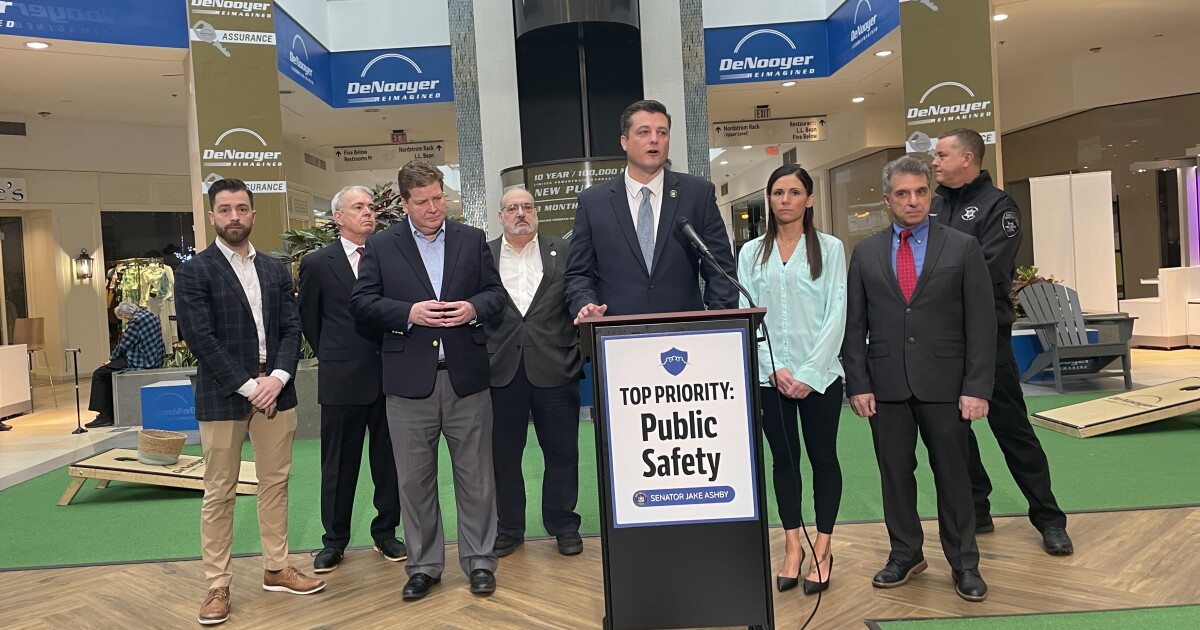 New York state legislator reintroduces bill meant to crack down on ...