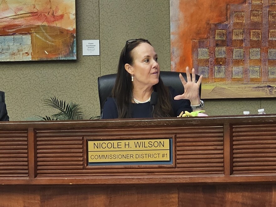 District 1 Commissioner Nicole Wilson during the Tuesday BCC meeting.