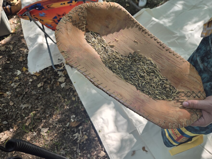 Wild rice grains in a birch bark basket