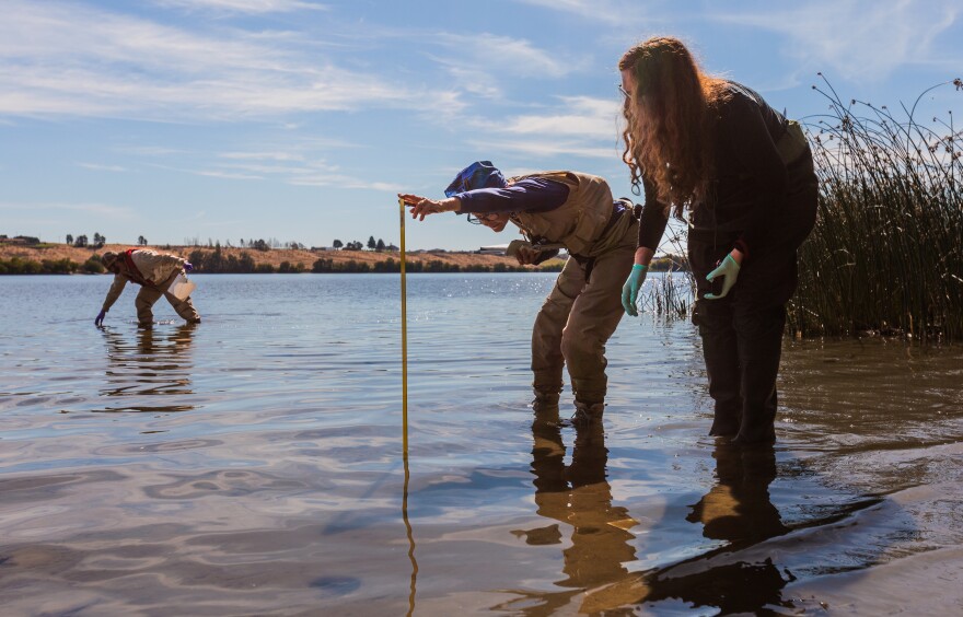 U.S. Environmental Protection Agency scientists Rochelle Labiosa (right) and Lil Herger examine the Columbia River for toxic algae as Jason Pappani leans over to reach into the water.