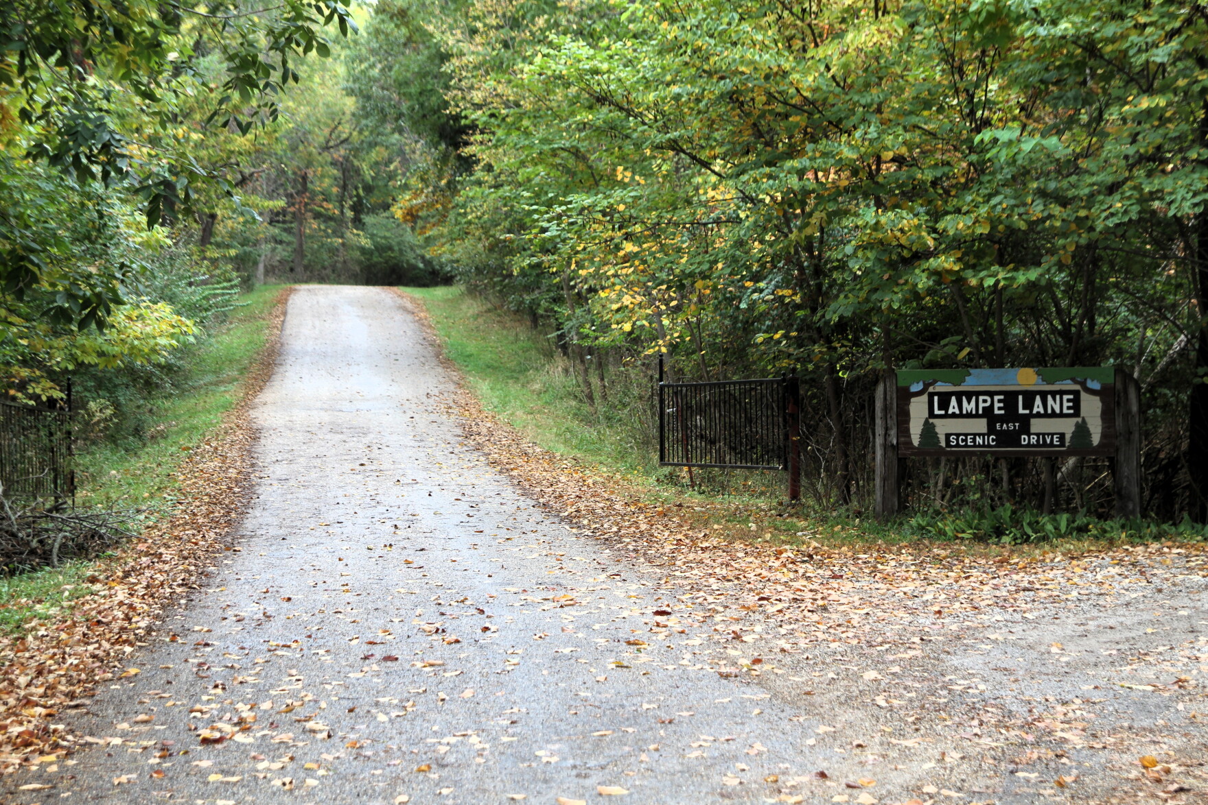 It’s about time for leaf peeping around McLean County | WGLT