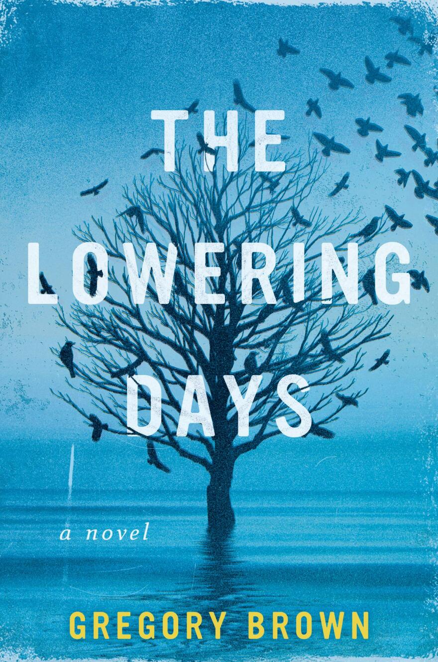 Book cover for "The Lowering Days"