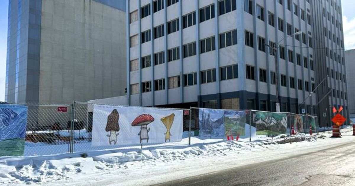 Anchorage goes ‘Beyond the Beige’ with new downtown art installation