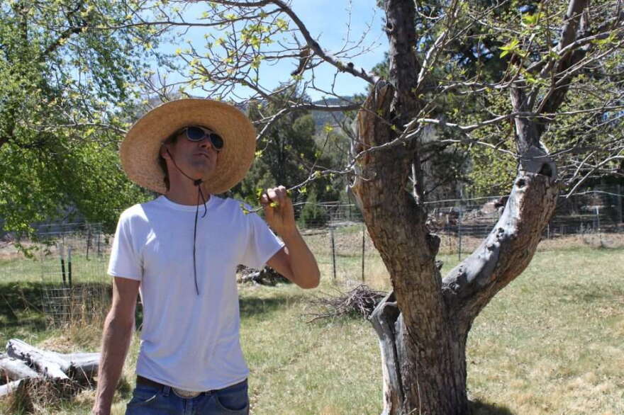 In March 2026, Orchardist Caleb Richter stands next to a Stark apple tree at the Amy Homestead Orchard in Howard, Colorado.