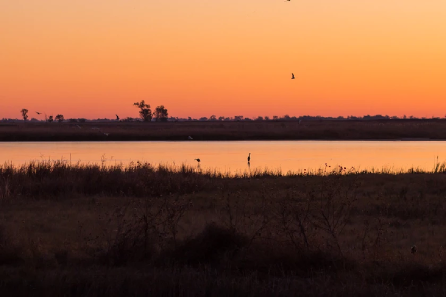 About 10 barrels of oil and 1,500 barrels of industrial salt water spilled from an oil pipeline into a creek near the Quivira Wildlife Refuge.