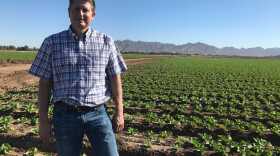 Jon Boelts, a lettuce farmer in Yuma, Arizona. (Peter O'Dowd/Here & Now)