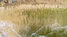 A drone view shows petroglyphs carved into the rock surface at Pōkaʻī Bay, July 22, 2025, in Waiʻanae, Hawaiʻi.