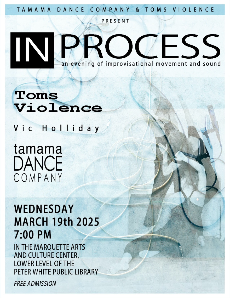 "In Process: an evening of improvisational movement and sound" is a production of Tamama Dance Company, Toms Violence, and Vic Holliday