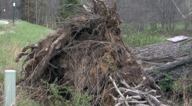 Storm damage in southern Monroe County after Wednesday's severe weather.